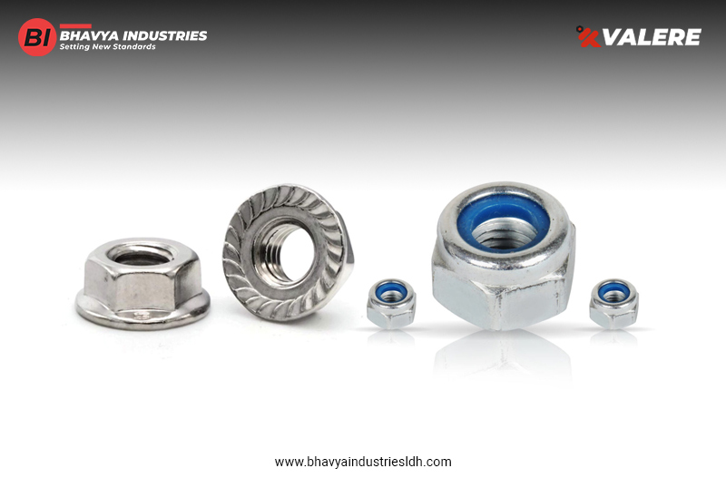 Different Type Of Nuts | Bhavya Industries