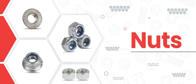 Nuts manufacturers in India | Bhavya Industries